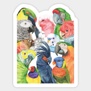 All my parrot watercolor Sticker